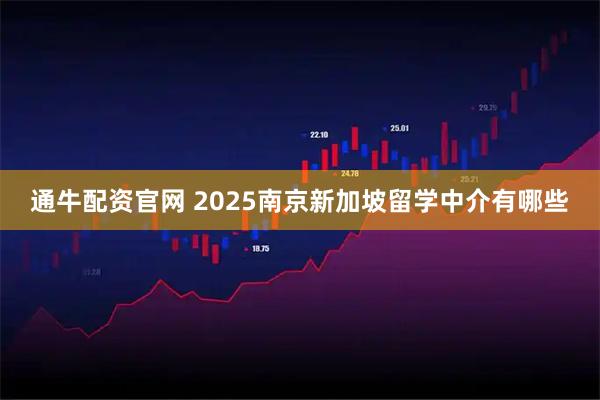 通牛配资官网 2025南京新加坡留学中介有哪些