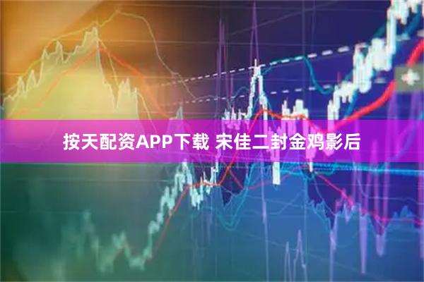 按天配资APP下载 宋佳二封金鸡影后
