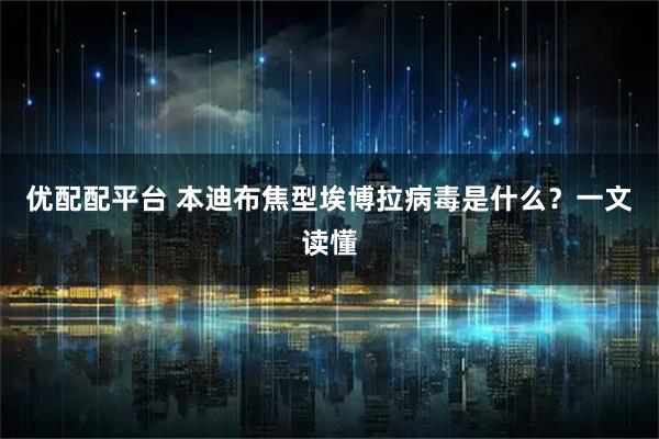 优配配平台 本迪布焦型埃博拉病毒是什么？一文读懂